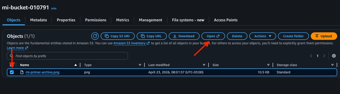 Objeto en el bucket con opciones Open y Actions